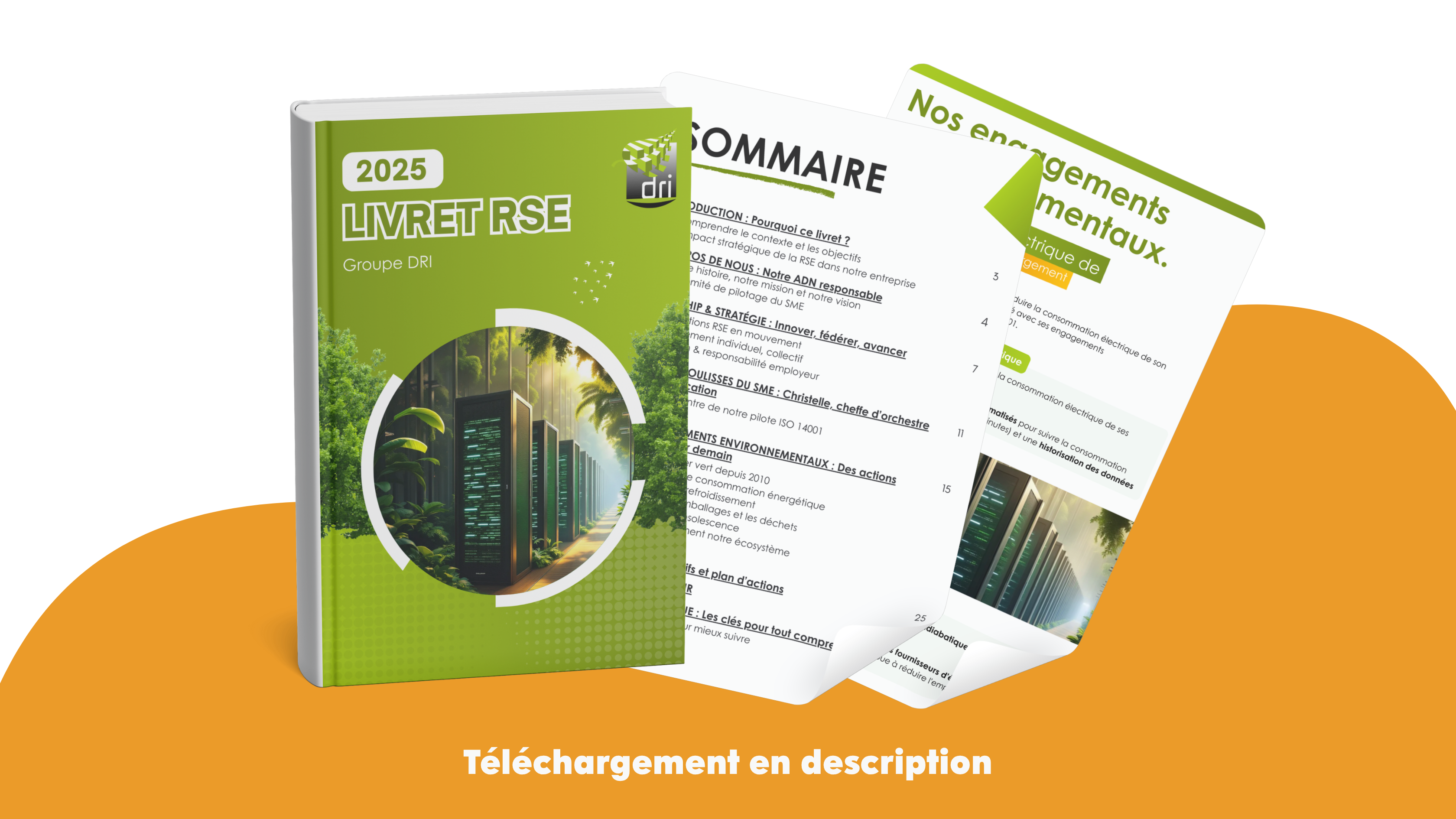 Transparence, impact et vision : découvrez le Livret RSE 2025 de DRI